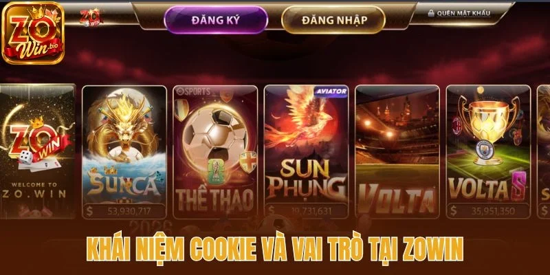 Khái niệm cookie và vai trò tại Zowin